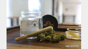 ‘술’ 대신 ‘약’ 찾는 美 젊은층… “중독 개념 뿌리째 흔들려” 