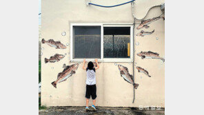 [고양이 눈]“궁금해”