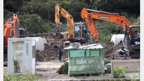 민족 대이동 추석 앞두고…확산 조짐 아프리카돼지열병‘ 비상’