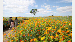 [날씨]주말 완연한 가을 날씨 ‘맑고 청명’…30~31일 비 소식
