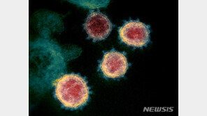 신규 바이러스 ‘토마토 독감’, 인도에서 확산 중