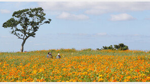 [날씨]오랜만이다 ‘푸른 하늘’…주말, 완연한 가을날씨