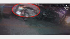 차도에 쓰러진 여성 치고…119신고뒤 달아난 택시기사