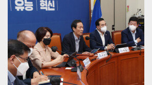 野 “가짜 비상상황 만든 與, 진짜 비상…‘체리따봉’ 충성경쟁이 원인”