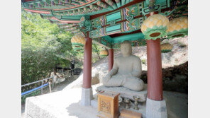 靑개방 이틀만에 ‘미남불’ 불전함 파손한 50대 여성, 檢 송치