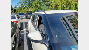 무면허·음주운전 40대, 도주하다 순찰차와 ‘쾅‘