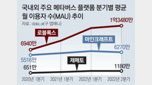 메타버스 ‘덜컹’… 이용자수 주춤에 수익성 빨간불 