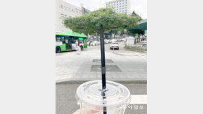 [고양이 눈]내 손으로 만든 ‘가상현실’ 휴가