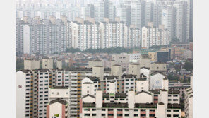 청년 등 공공분양에 1조4000억… 반지하 5000만원 무이자 대출 