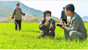 “북한, 인도서 쌀 1만t 수입 추진…심각한 식량난 가능성”