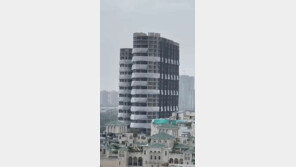 인도, ‘불법 증축’ 쌍둥이 타워 철거…9초 만에 와르르 붕괴