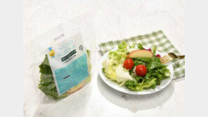 [먹거리+IT] 샐러드스쿨 "당뇨 예방과 다이어트? 지금 식단에 샐러드만 추가하세요"