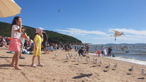 여름 끝… 막바지 피서 즐기는 시민들