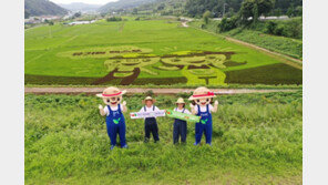 지구촌 최대 유기농축제 ‘괴산유기농엑스포’ 한 달 앞으로