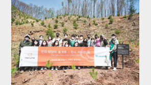 10년 넘게 이어온 국내외 친환경 숲 조성
