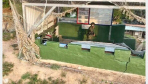 대만 국방부장 “中무인기 침투 폭죽으로 참새 쫓으려는 것…별거 아냐”