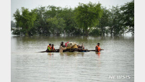 “파키스탄 3분의 1이 물에 잠겨”…4개월 폭우로 1100명 사망