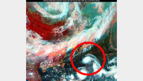 사람도 날리는 초강력 태풍 ‘힌남노’, 내주 한반도 향해 북진