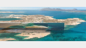 [단독]삼성-현대, SM엔터와 ‘팀코리아’ 구성, 670조원 사우디 ‘네옴시티’ 수주 나서 