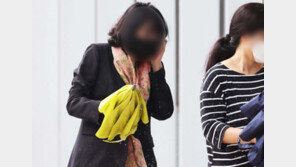 김혜경 ‘법카유용 의혹’ 핵심 배모씨 구속영장 기각