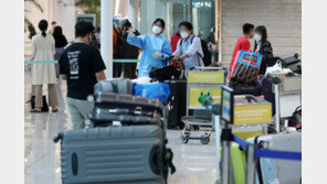 9월 3일부터 입국 전 PCR 검사 폐지… 항공·여행업계 ‘반색’