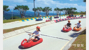 루지 타고 스피드 즐겨 볼까