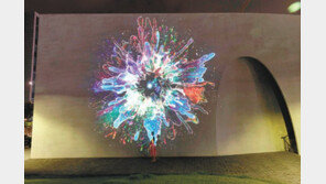 “미술관 외벽에 애니 상영, 경계를 허무는게 재미” 