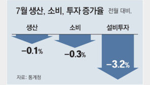 소비 첫 5개월 연속 하락… 생산-투자까지 ‘트리플 감소’ 