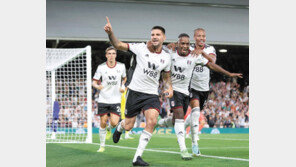 2부리그 득점왕 출신 미트로비치, EPL서도 불붙었다 