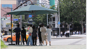 “가로수가 그늘막보다 폭염에 효과”…표면온도 7도 더 낮다