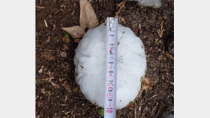 ‘야구공’만한 우박이 쾅쾅!…스페인 영아 머리 맞고 사망 (영상)