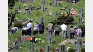 진드기 감염병, 9~11월 기승…“벌초·성묘할 때 긴 옷 입어야”