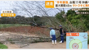 오키나와 할퀸 태풍 ‘힌남노’… 나무 쓰러지고 항공-선박 결항 속출