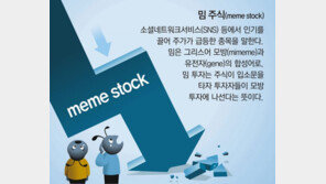 주가 한달새 15→25→9달러 롤러코스터… ‘밈’ 주의보