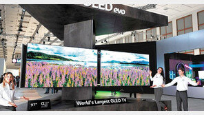 LG, 세계 최대 올레드TV 공개