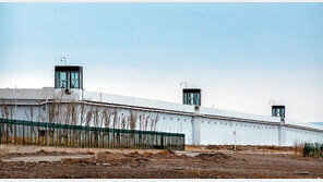 유엔 “中, 신장서 수감자 물고문-성폭행… 위구르족 인권탄압” 