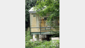 [고양이 눈]마음이 쉬어가는 곳