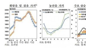 한은 “소비자물가, 상당기간 5~6%대 높은 오름세 지속”