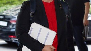 윤미향 남편, 전여옥·유튜버·언론사 상대 손해배상 1심 사실상 패소