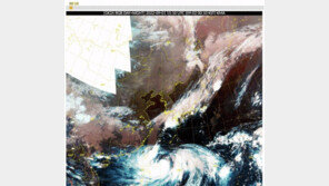 ‘사람 날릴 위력’ 힌남노, 상륙은 안 한다…부산 앞바다로 빠져나가