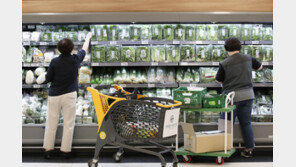 지난달 물가상승률 5.7%로 주춤…공공요금-채솟값은 ‘고공행진’