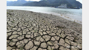 역대급 폭염에 中서 ‘동굴 식당’ 인기…대피소로 급부상