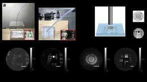국내연구진, 주사바늘보다 얇은 초미세 내시경 개발