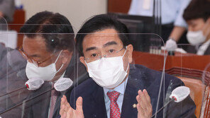 살몬 유엔보고관 만난 태영호 “한미, 유엔 北 인권 개선 분업 필요”