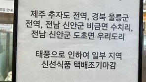 “나도 ‘한남노’로 보여”…생소한 태풍 이름 ‘힌남노’ 오타 연발