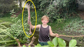 초등생이 마당에서 잡은 길이 1m ‘괴생물’…정체가?