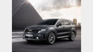 “8월 국산차 줄고 수입차는 늘어”…쏘렌토·BMW 1위