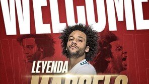 올림피아코스 황의조·황인범, 마르셀루와 한솥밥