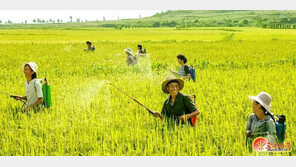 북한도 태풍 힌남노에 ‘초긴장’… “통일적 작전과 지휘 심화”
