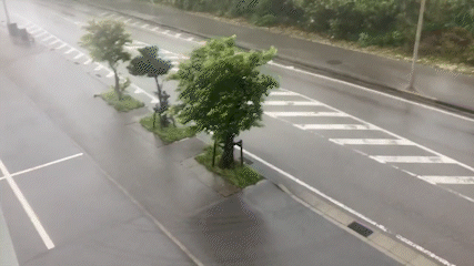 담장 무너지고, 벽돌 날아와 車유리 깨져…오키나와 ‘힌남노’ 피해 잇따라